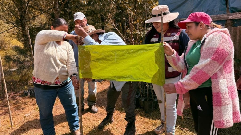 Aguacate de Carrizal de Bravo adopta el «modo eco»: Taller de trampas&nbsp;cromáticas