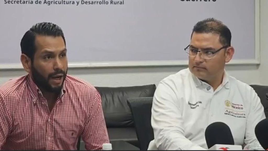 Sader confirma un solo caso de gusano barrenador en Tecoanapa y pide que se reporten&nbsp;sospechosos