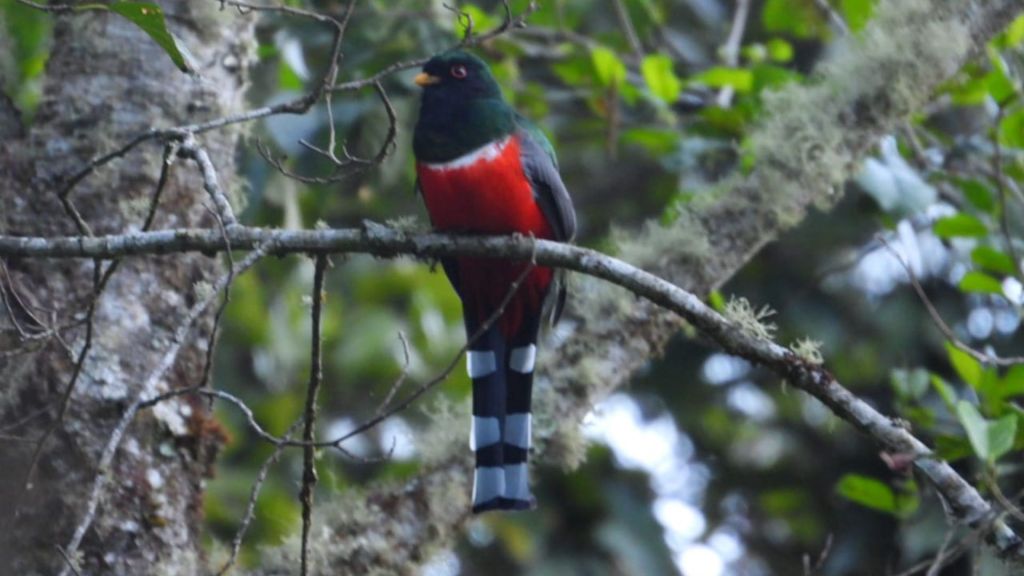 Guerrero avanza hasta el 90 por ciento en el ‘Compendio de Biodiversidad’