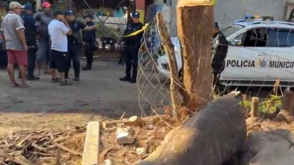 Localizan sin vida a «La Diablit@», conocida figura de redes sociales de&nbsp;Tecpan